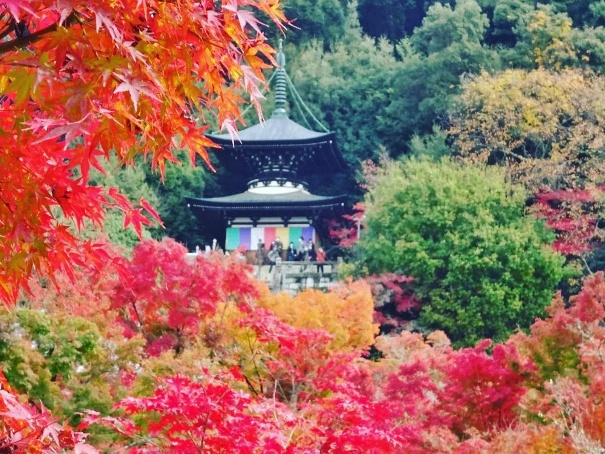 Yamamoto Ryokan Kiotó Kültér fotó